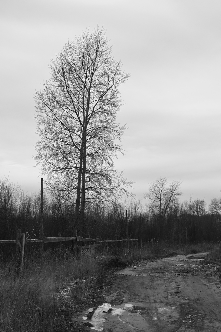 Image-normal