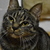 Image-square_50