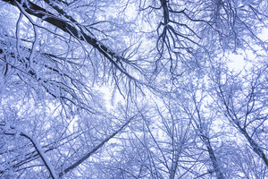 Image-preview_300x200