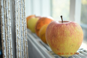 Image-preview_300x200