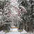 Image-square_50