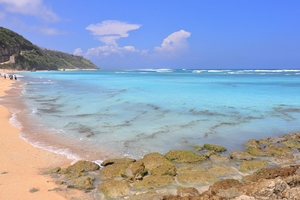 Image-preview_300x200