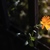 Image-square_50