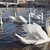 Image-square_50