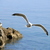 Image-square_50