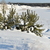 Image-square_50