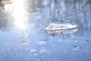 Image-preview_300x200