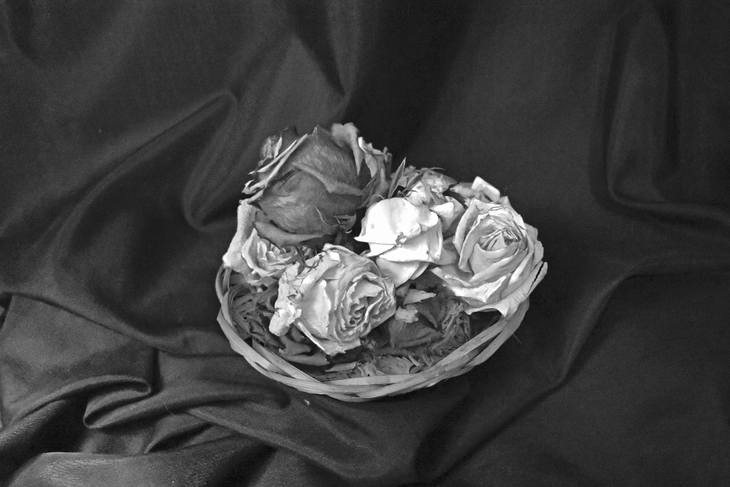 Image-normal