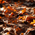 Image-square_50
