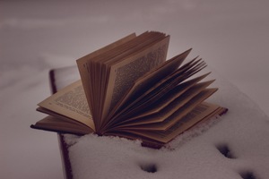 Image-preview_300x200
