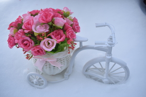Image-preview_300x200