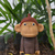 Image-square_50