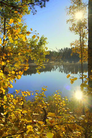 Image-preview_300x200