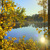 Image-square_50