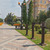 Image-square_50
