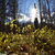Image-square_50