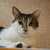Image-square_50