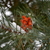Image-square_50