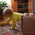 Image-square_50