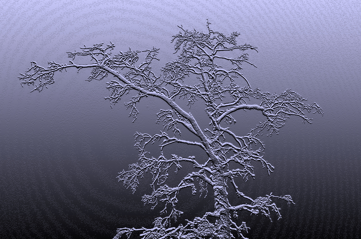 Image-normal
