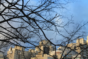 Image-preview_300x200