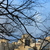 Image-square_50