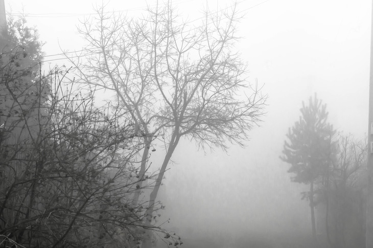 Image-normal