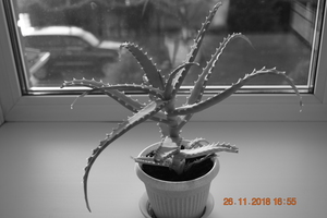 Image-preview_300x200