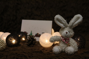 Image-preview_300x200