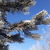 Image-square_50