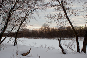 Image-preview_300x200
