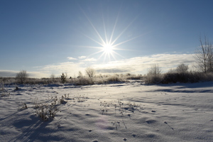 Image-preview_300x200