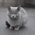 Image-square_50