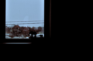 Image-preview_300x200