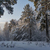 Image-square_50
