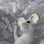 Image-square_50