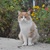 Image-square_50
