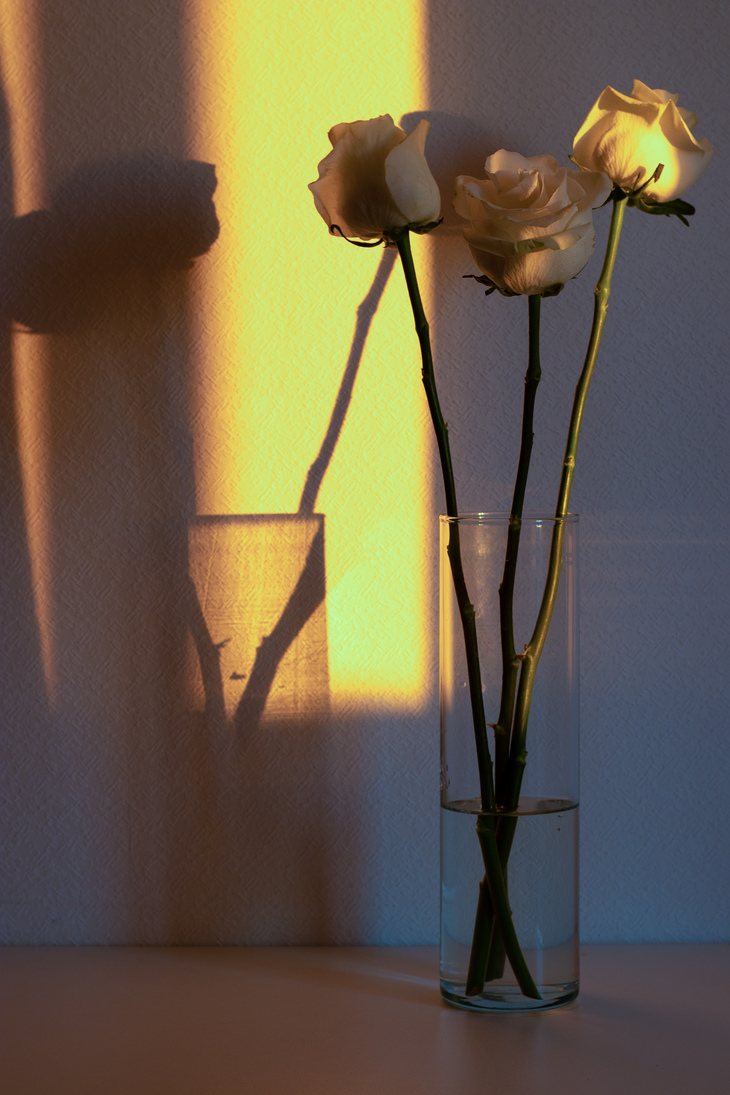 Image-normal