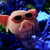 Image-square_50