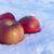 Image-square_50