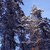 Image-square_50