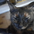 Image-square_50
