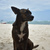Image-square_50