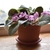 Image-square_50