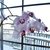 Image-square_50