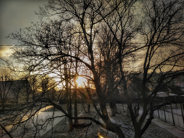 Image-normal