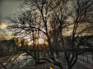 Image-preview_300x200