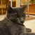 Image-square_50