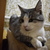 Image-square_50
