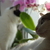 Image-square_50